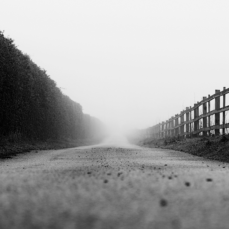 Tags: black & white, landscape, square