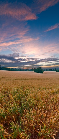 Tags: landscape, vertorama