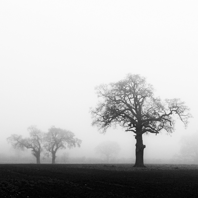 Tags: black & white, landscape, square