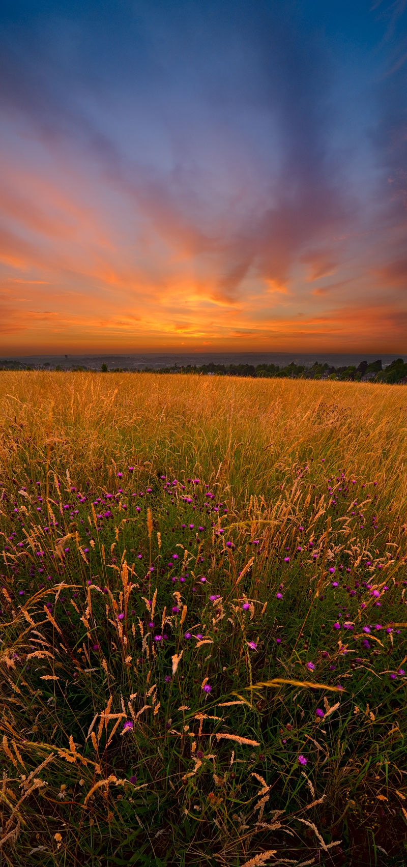 Tags: landscape, vertorama